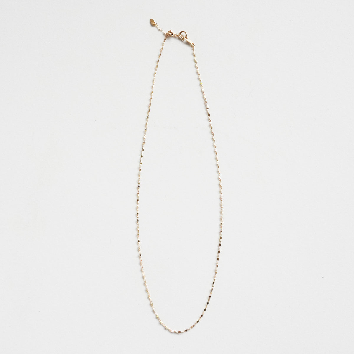 アクセサリー APARTRY Radiant Chain Necklace Radiant Chain Necklace – APARTRY